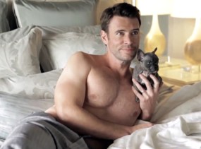 rs_560x415-141001184138-1024.Scott-Foley-Dog.ms.100114_copy.jpg
