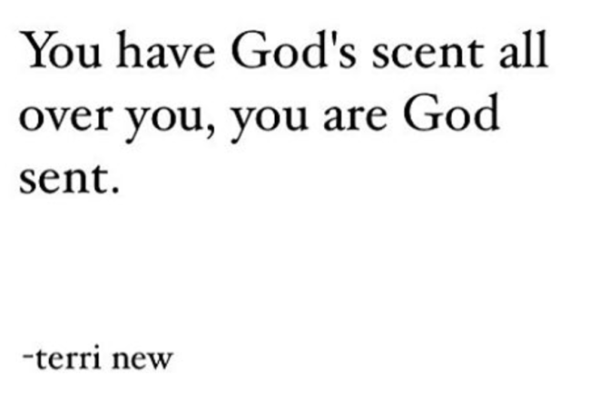 Screen Shot 2017-01-12 at 4.30.15 PM.png