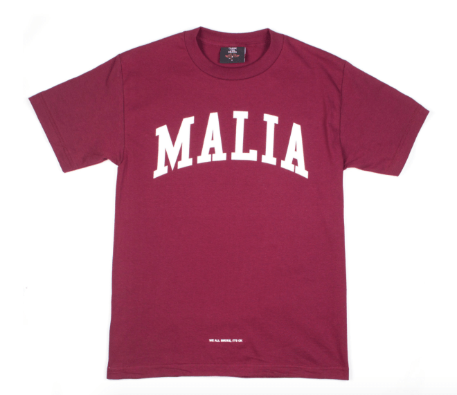 Screen Shot 2017-01-24 at 11.44.23 AM.png