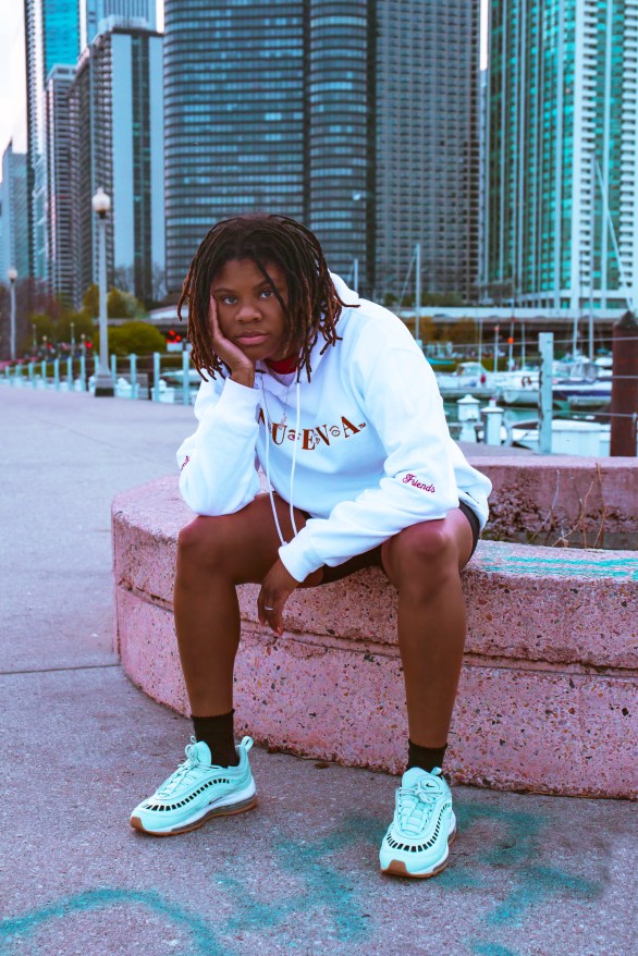 Navy Pier taken by Art by Hybrid